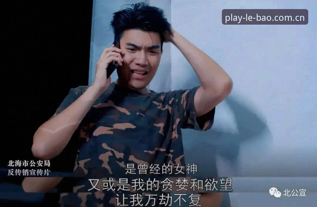 LEBAO中文官网安装失败 深度揭秘:LEBAO中文官网安装失败背后的真相与解决之道